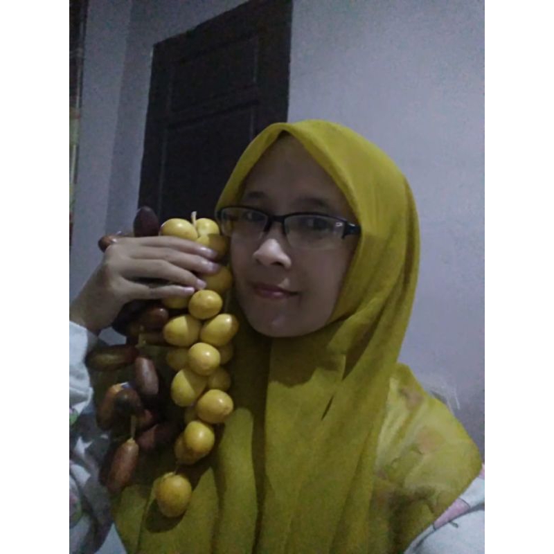 

kurma muda barhie 500gram promil kurma muda fress no frozen