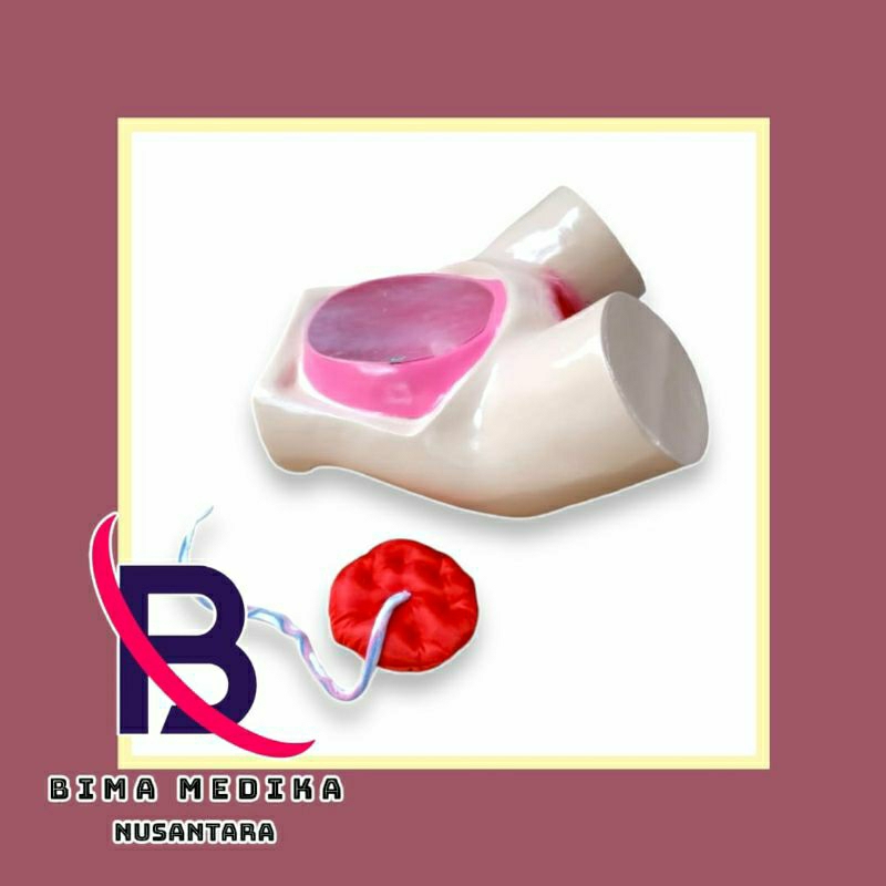 PHANTOM / MANIKIN / MANIKIN MODEL PANGGUL MANUAL PLASENTA