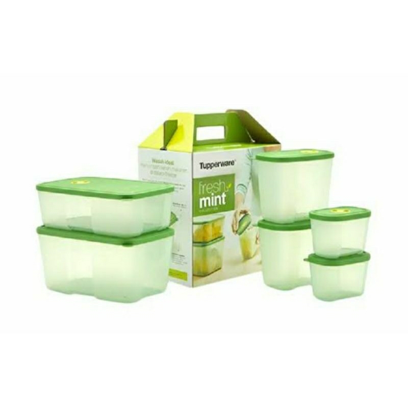 fresh mint green tupperware