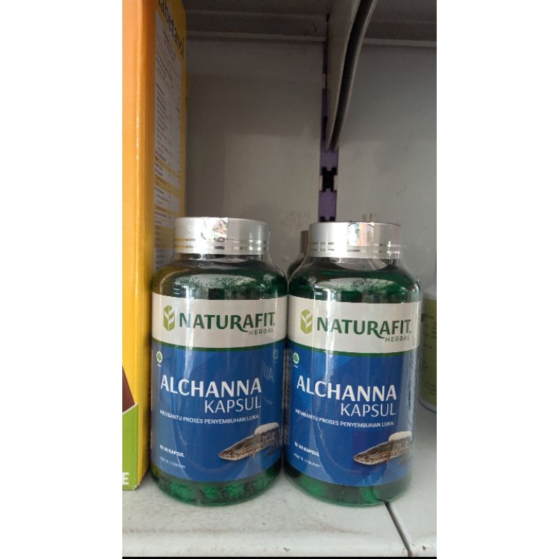 KAPSUL KUTUK PREMIUM, ALCHANNA