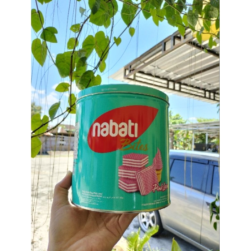 

1 karton nabati kaleng isi 6 x 320 gram