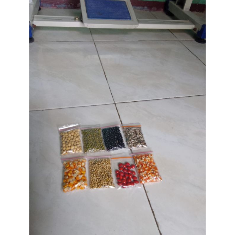 biji-bijian untuk kolase 8 macam
