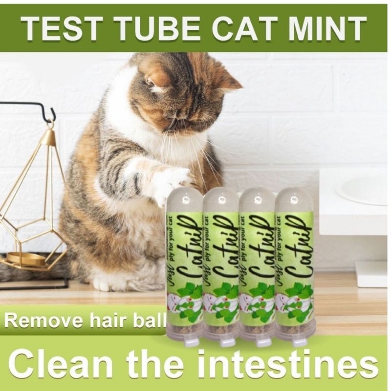 Catnip Tube 5ml Cat Mint Botol Kecil untuk kucing