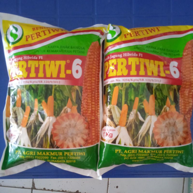 jagung pertiwi-6