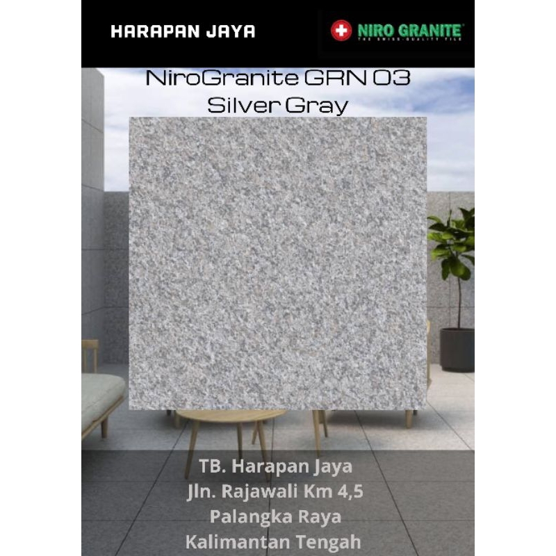 Niro Granite GRN 03 Silver Gray 60x60
