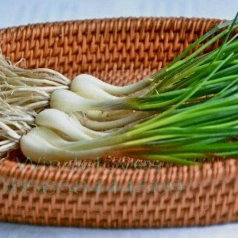 

BAWANG BATAK/KUCAY TERBAIK 250GR ,