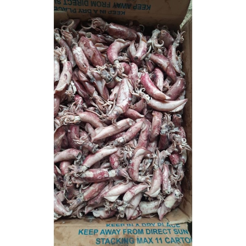 

Cumi Asin Besar 1kg