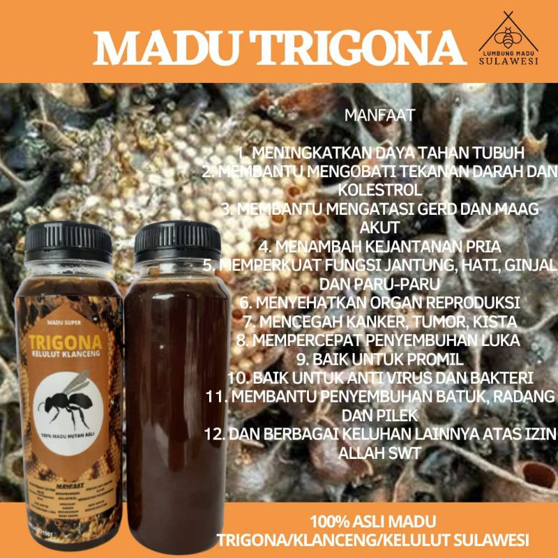 

Madu Trigona klanceng kelulut asli sulawesi mencegah MAAG/GERD asam urat kolestrol tekanan darah dan baik untuk vitalitas