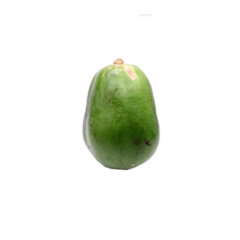 

Pepaya Muda / Sayur Pepaya Muda ( 1 Buah )
