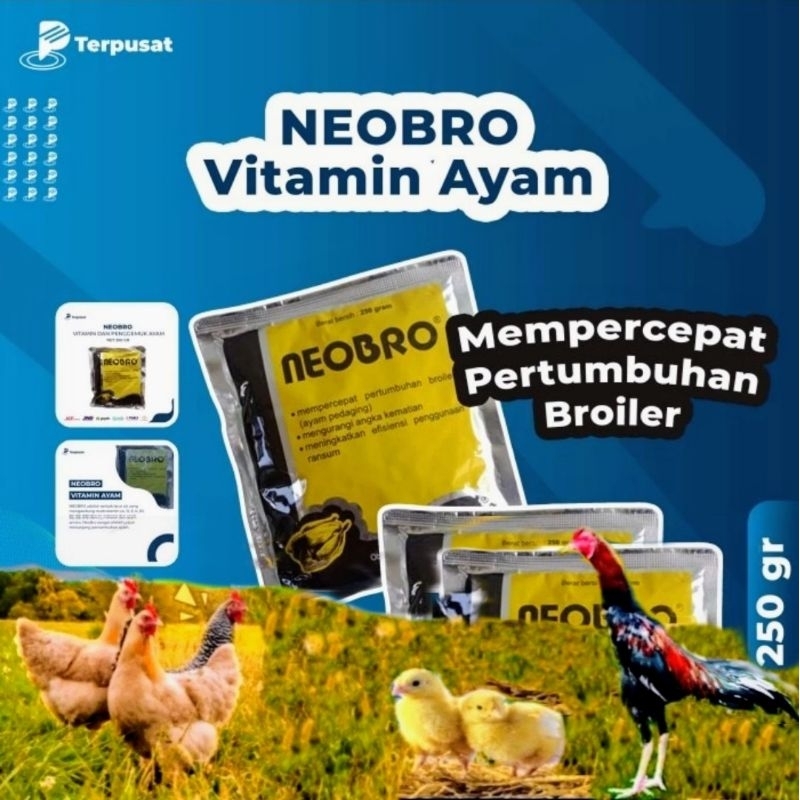 NEOBRO @250 gram Mempercepat Pertumbuhan Ayam Broiler Obat Ayam Multivitamin