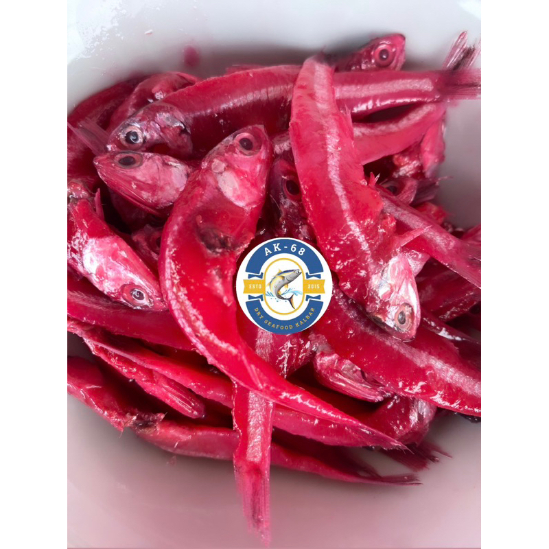 

Kung ng ci koi / pedak ikan teri merah