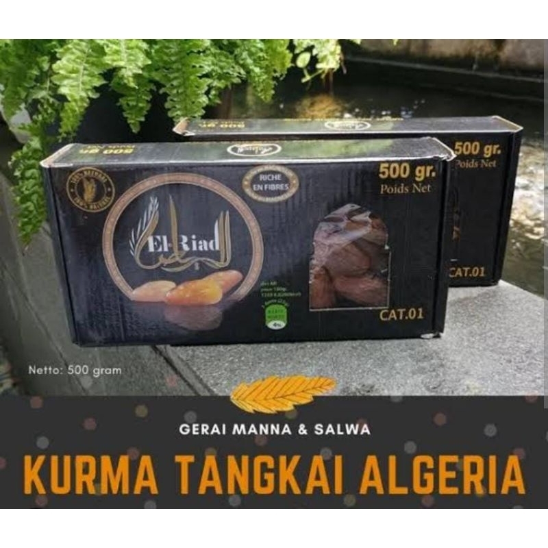 

KURMA TUNISA TANGKAI 3VARIASI BOX | EXT 8-12-2023