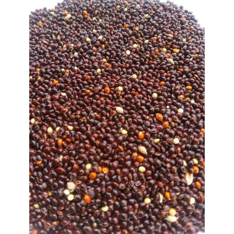 500gram Milet Hitam / Black Milet