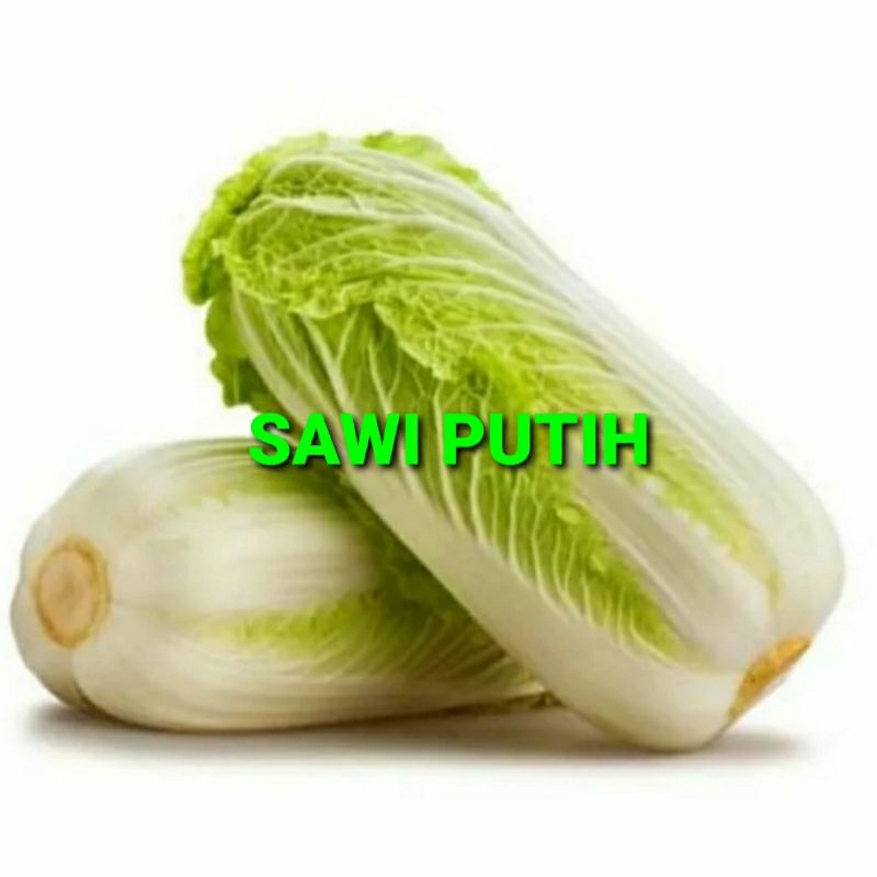 

SAWI PUTIH KHUSUS PARA SULTAN 1 KG (PREMIUM QUALITY)