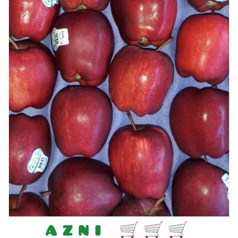Apel Merah Washington 500 gr - Buah Buahan Fresh Berat Kurang Lebih