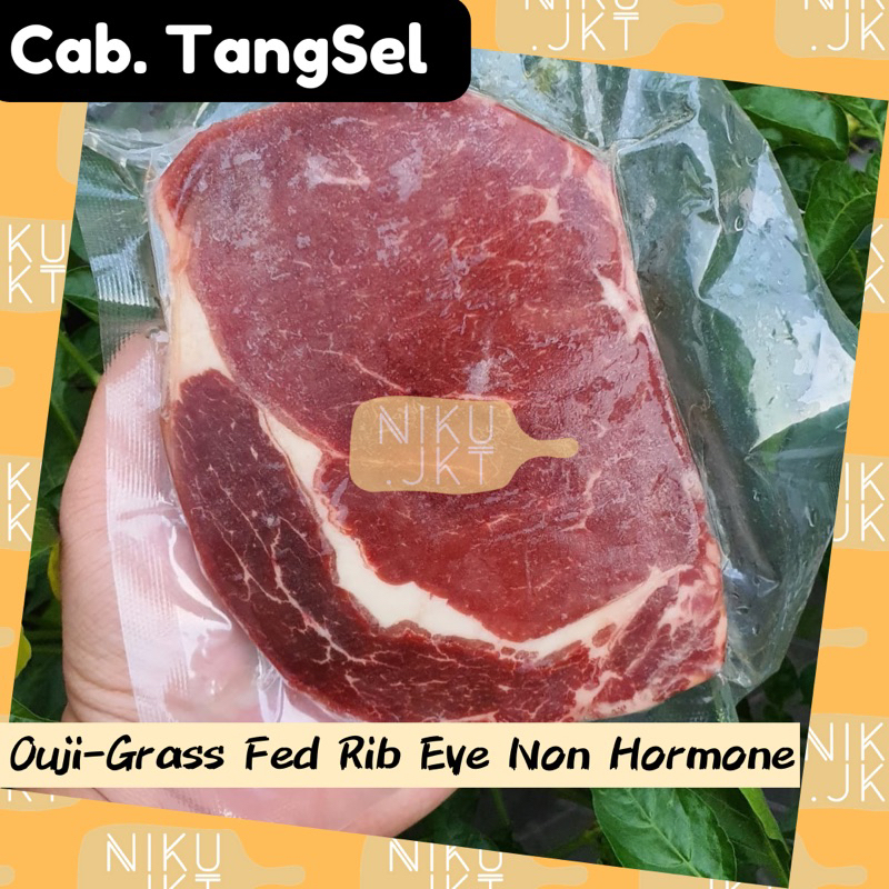 

Daging Sapi Beef Steak HALAL NZ Grass Fed Rib Eye Non Hormone Steak - 200gr