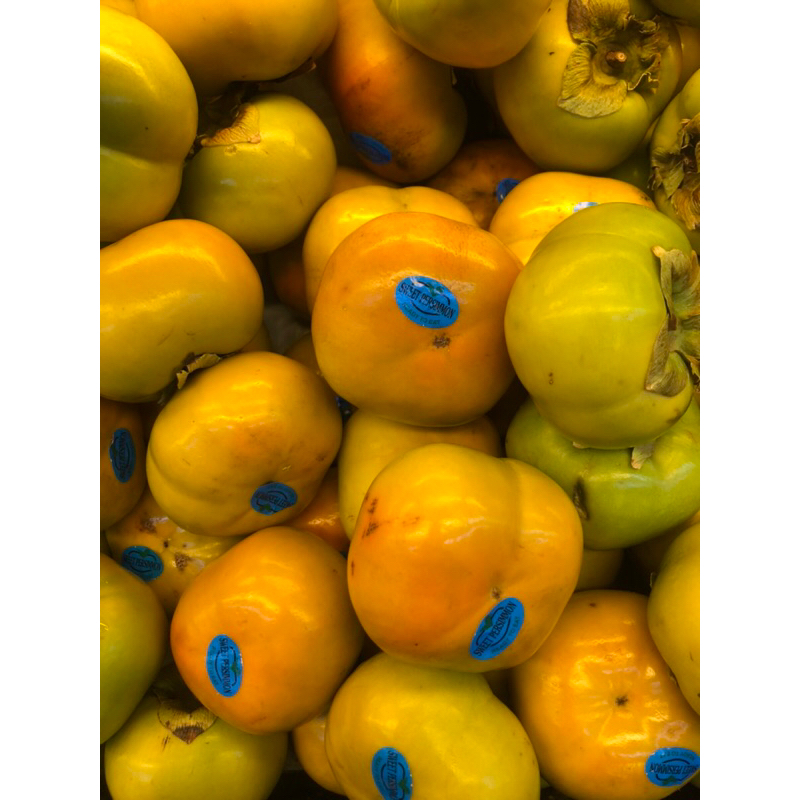 

Buah Kesemek Persimmon Spain New Zeland 1 kg