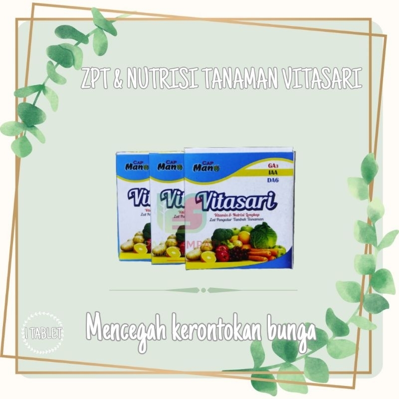 zpt dan nutrisi tanaman vitasari