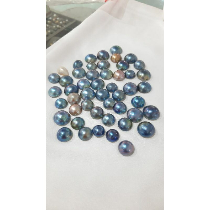 mabe kulit kerang mutiara laut