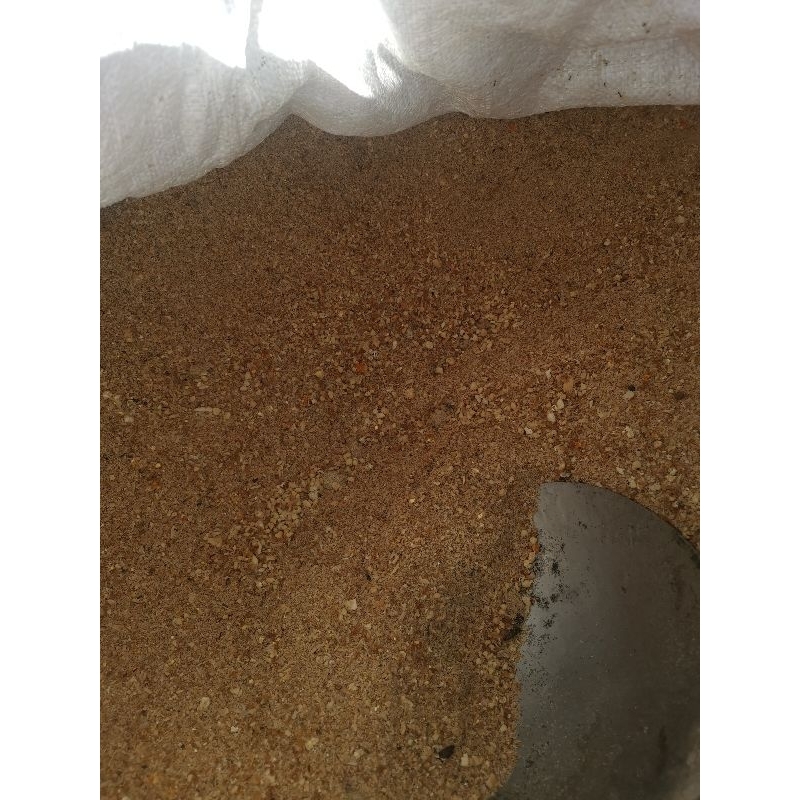 Pakan mentok/entok murah