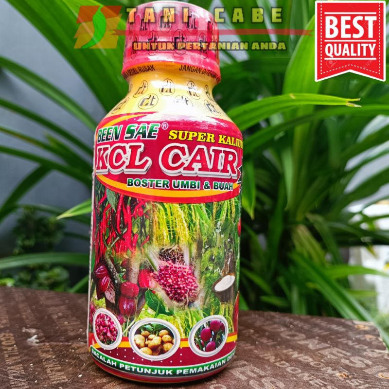 SUPER KALIUM BEEN SAE KCL CAIR-500 ML