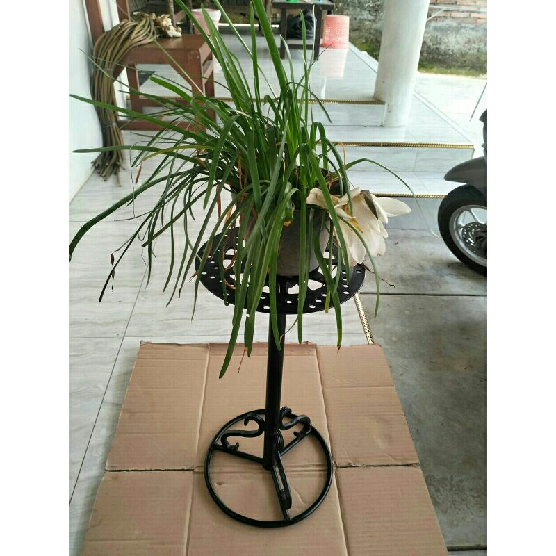 trimer bonsai/ meja putar bonsai