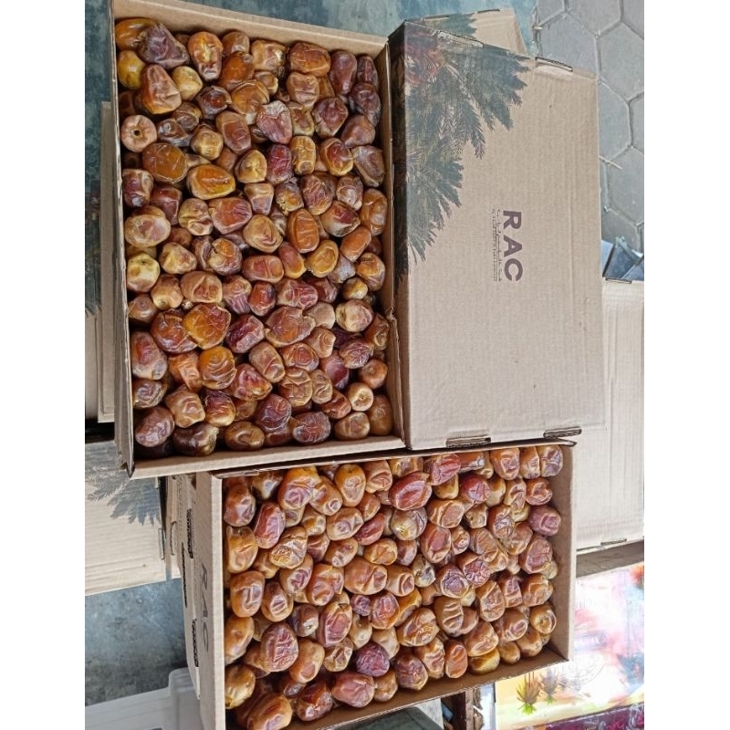 

Kurma Sukkari baru datang