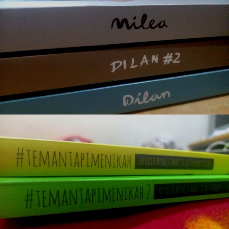 NOVEL PRELOVED DILAN