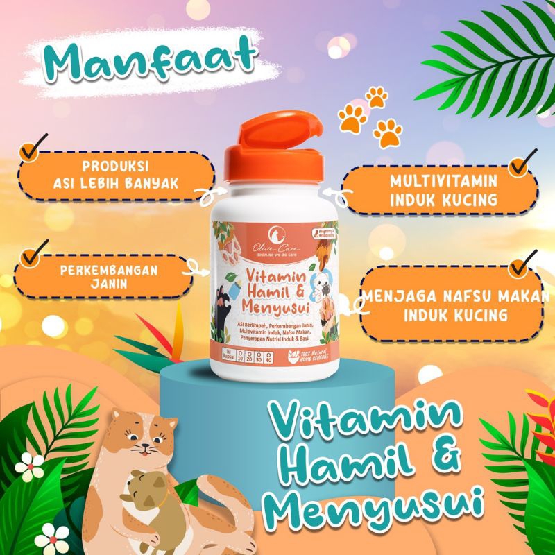 Olive Care Ecer Vitamin Kucing Hamil dan Menyusui Untuk Meningkatkan Produksi Asi dan Kesehatan Janin