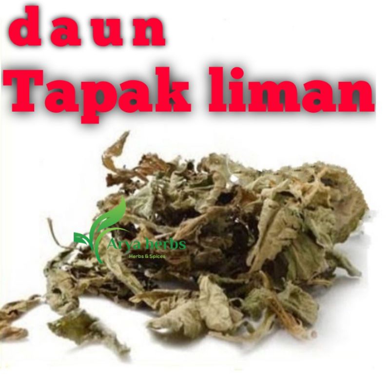 

DAUN TAPAK LIMAN KERING / HERBAL / berat 1KG