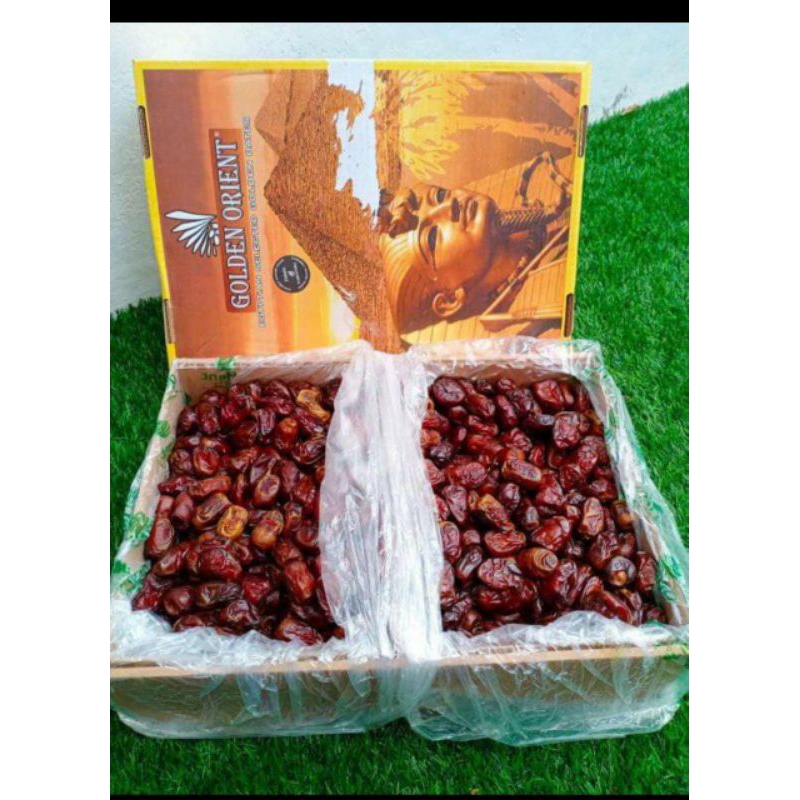 

Kurma golden arien