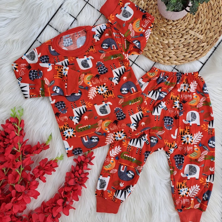 stelan baju bayi laki laki perempuan lucu murah motif GAFFY LAND PANJANG celana pampers 3-18 bulan