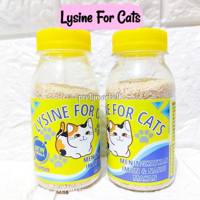 Lysine For Cats 50gr Vitamin Penggemuk Kucing dan Meningkatkan Imun Hewan Peliharaan Murah