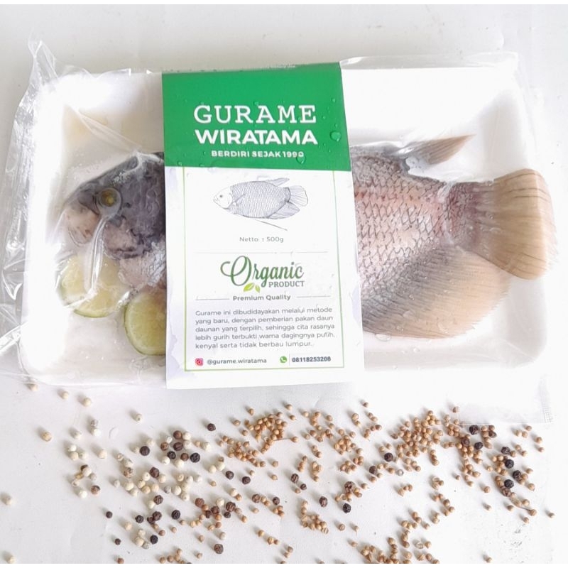 

Ikan Gurame Segar Organik (500gr).