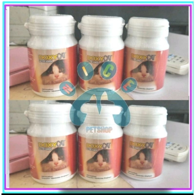 IM doxy ecer 1 tablet obat flu kucing anti biotic