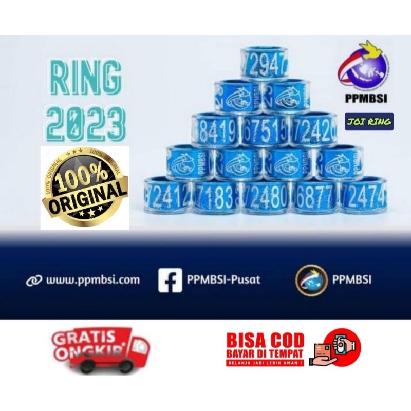 RING PPMBSI 2024 PER 25 BIJI