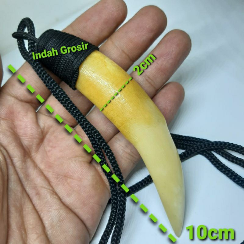 Kalung Tar Can panjang 10cm