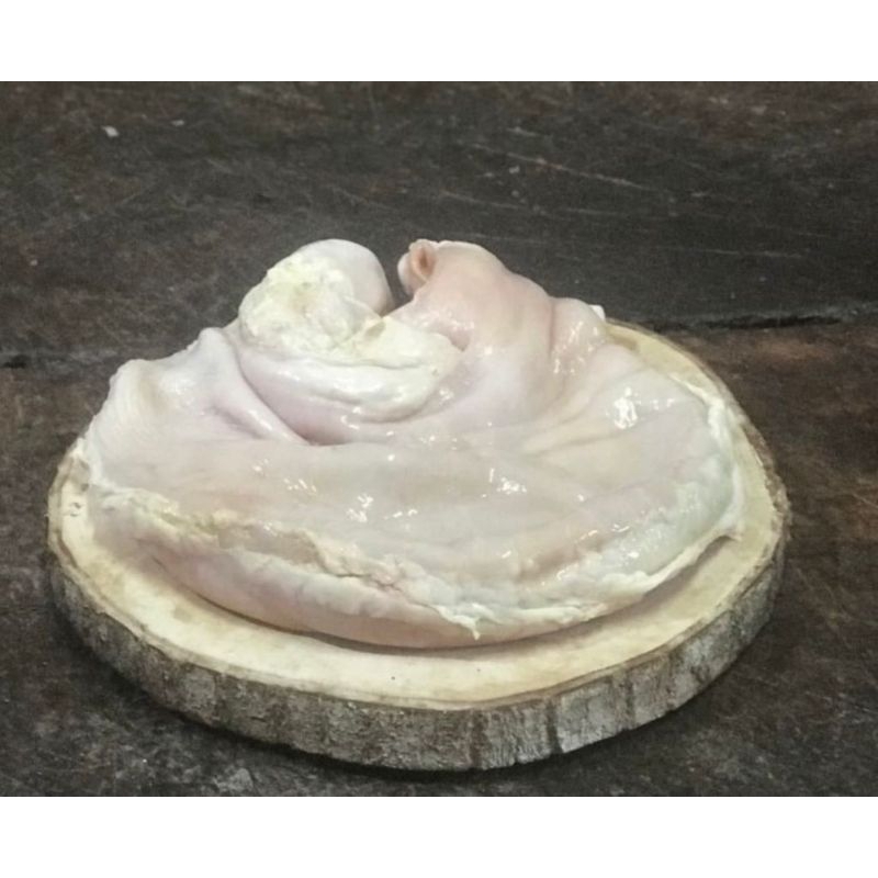 

titto/ jerohan perut babi/ lambung babi/ tito 1 pcs