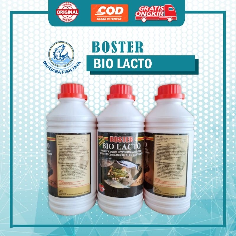 BOSTER BIOLACTO 1 Liter | Probiotik Starter | Bakteri Lactobacillus Ikan & Udang