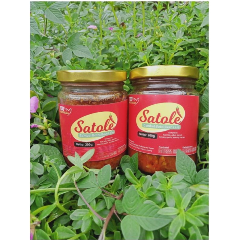

sambal ikan lele