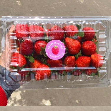 

Stobeli manis Strawberry fresh asli Grade Ab ukuran sedang 500gr