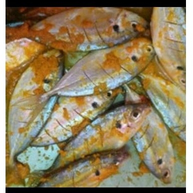 

IKAN SELAR bumbu kuning 500 gr