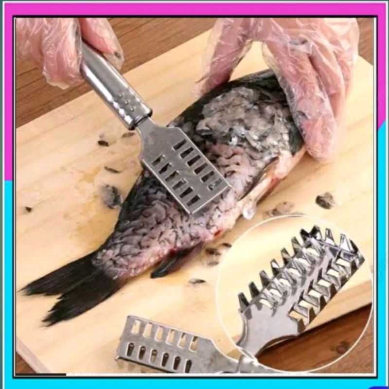 Pembersih Sisik Ikan Stainless Steel