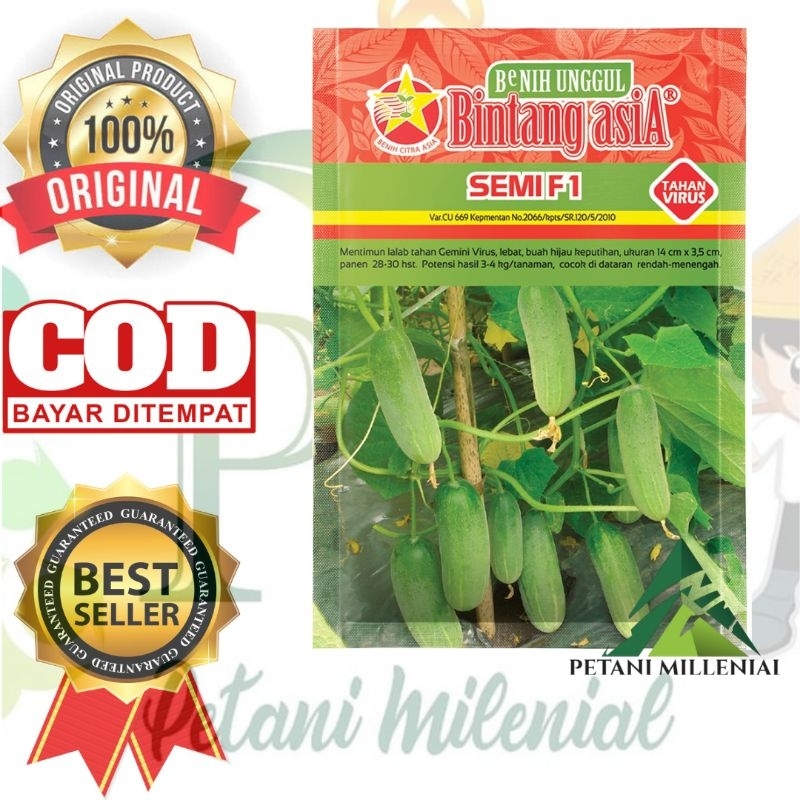 SEMI F1 - Benih timun SEMI F1 (20gr)- Bibit timun beby kecil bintang asia ini