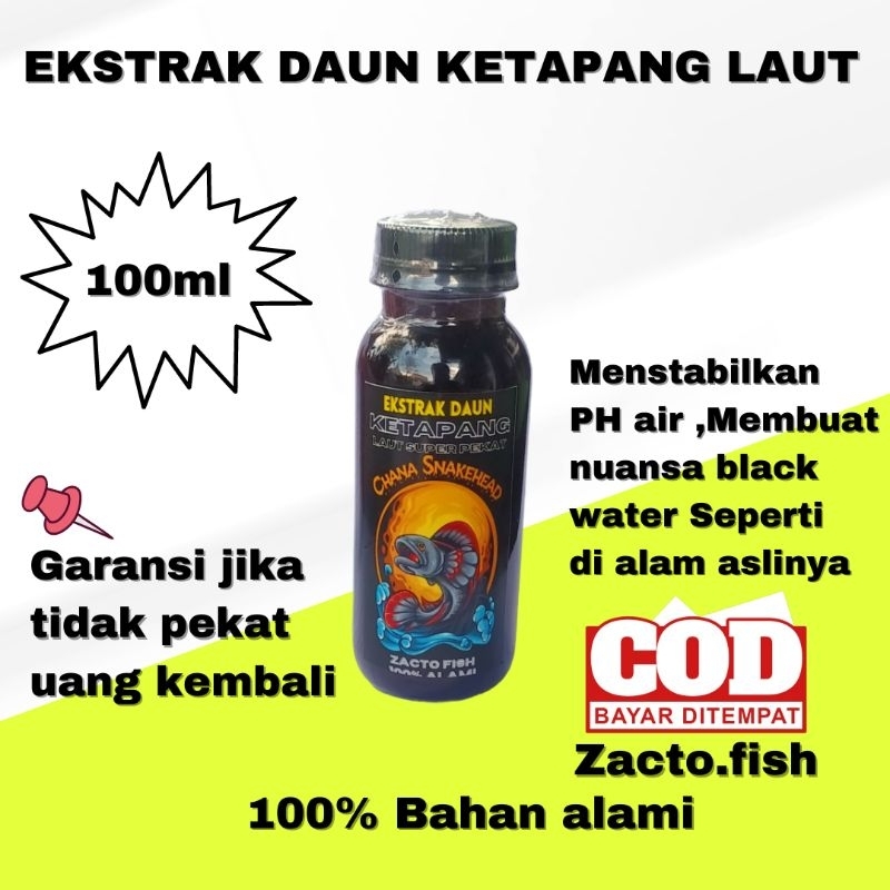 Ekstrak daun Ketapang laut 100ml pekat buat Channa dan cupang