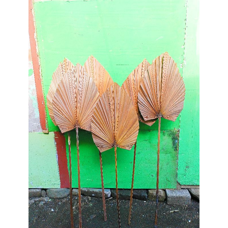 Daun palem murah rijek, daun palem natural ,daun palem lokal