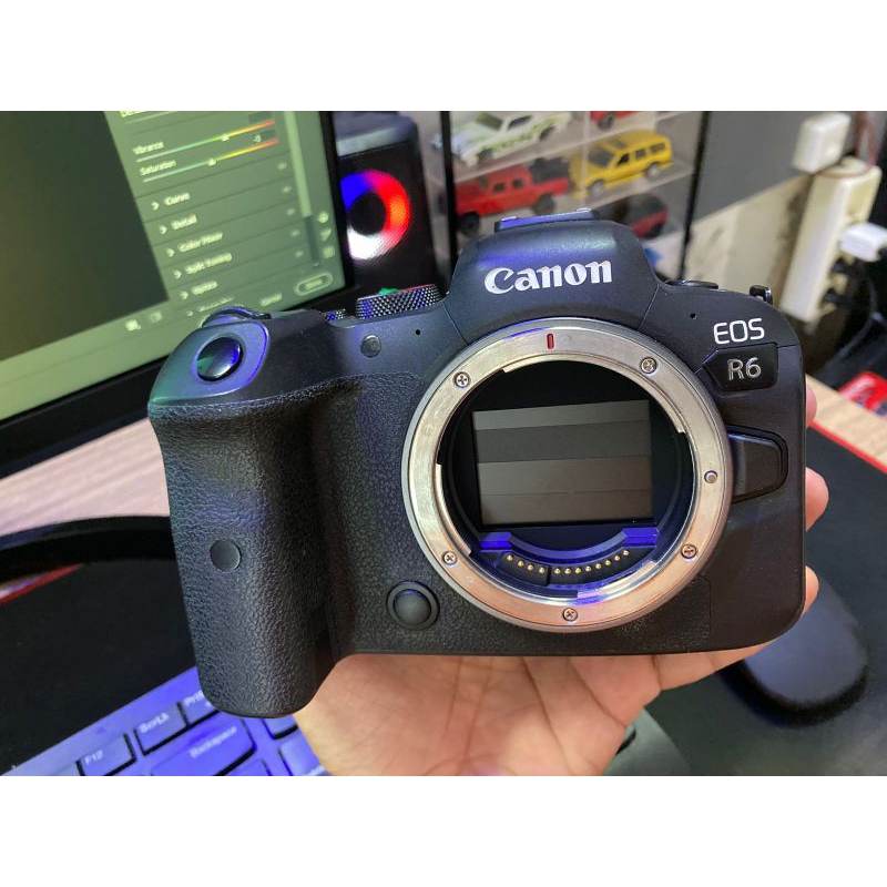 canon eos R6