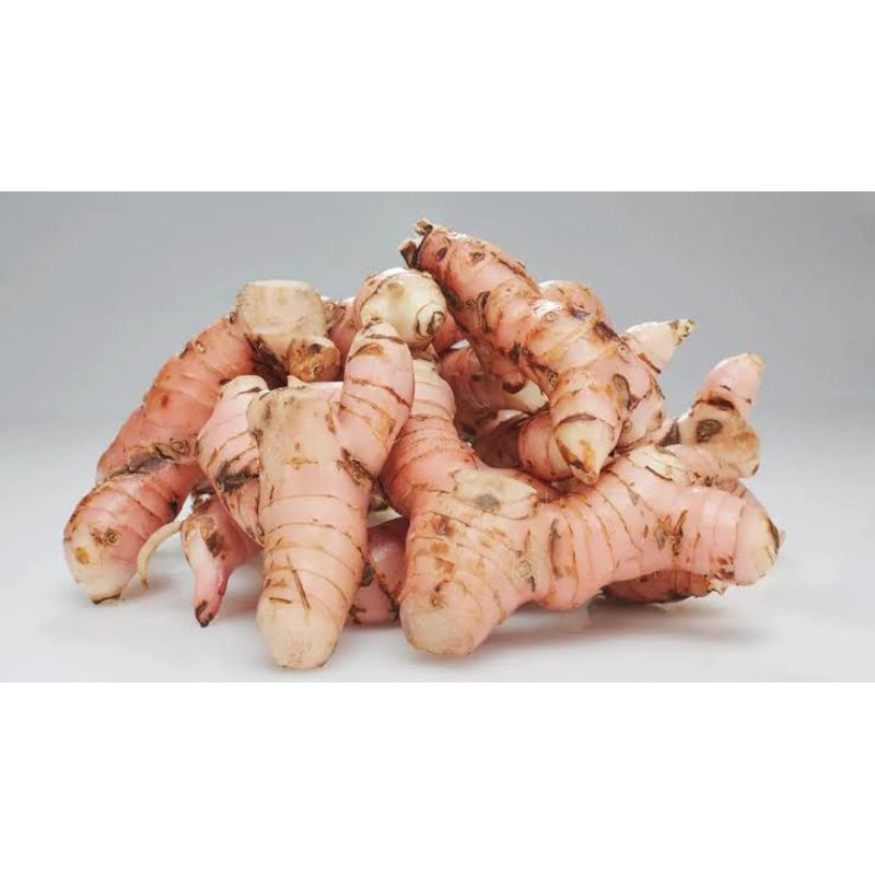 

Lengkuas (laos) rempah bumbu masak dan jamu (200gr)