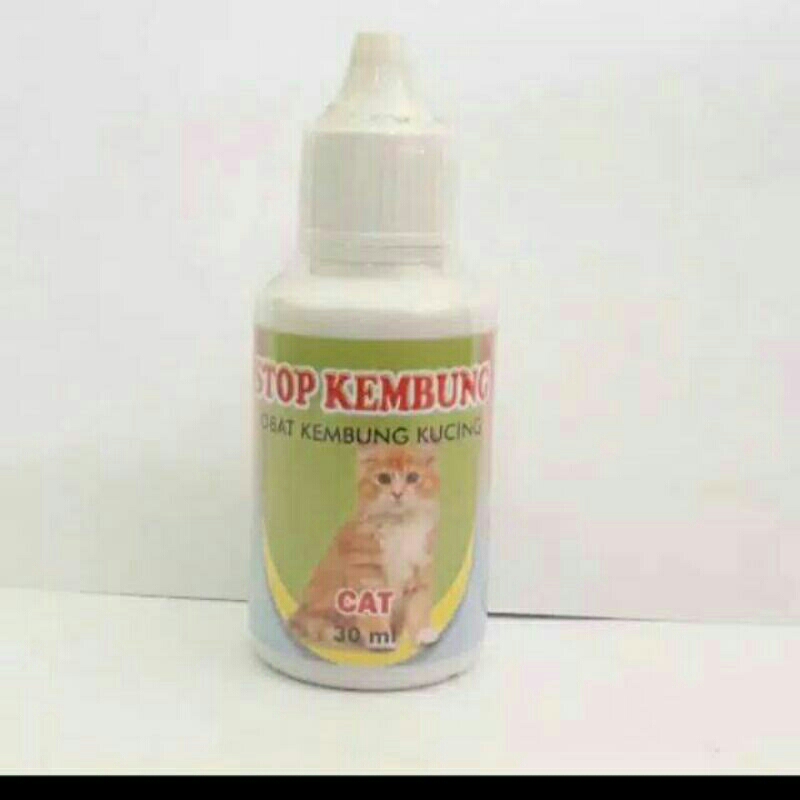 STOP KEMBUNG CAT - OBAT KEMBUNG KUCING