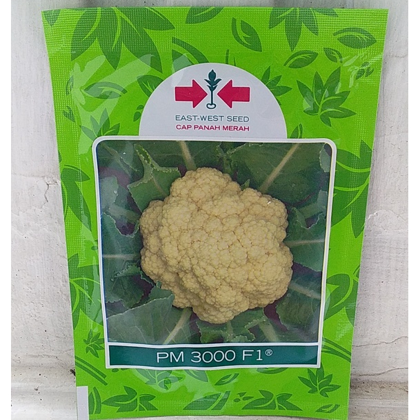 Benih Kembang Kol PM 3000 F1 10 gr